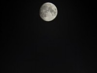 Луна в ночи