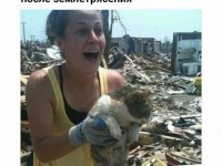 Чистое счастье найти своего кота после землетрясения