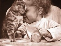 Искренняя любовь ребенка и кота